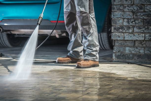 Best Restaurant Pressure Washing  in Cottage Grove, MN